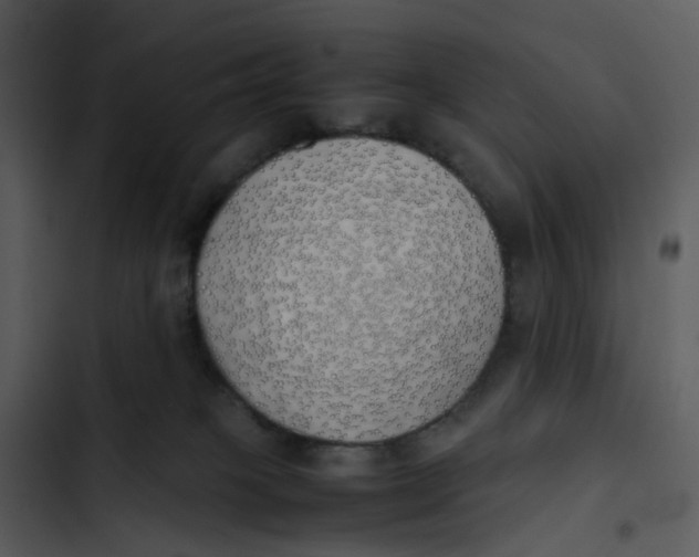 X0000102840085200809081230