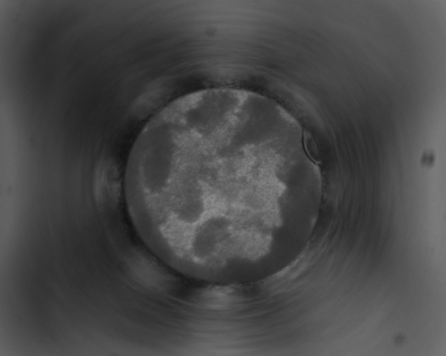 X0000102840086200809081230