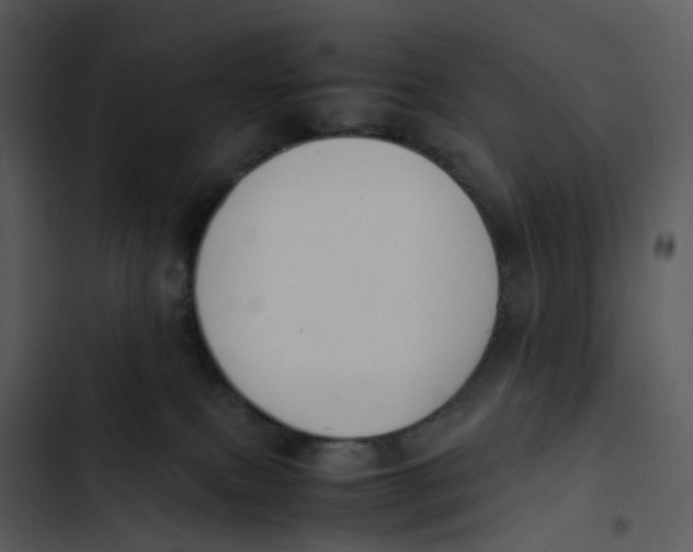 X0000102840087200809081230