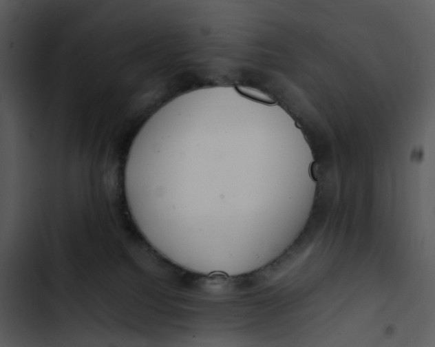 X0000102840088200809081230