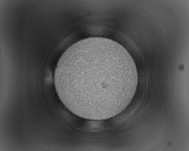 X0000102840089200809081230