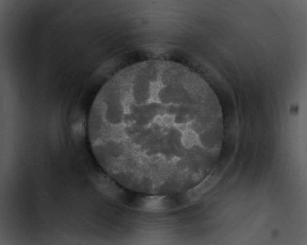 X0000102840090200809081230