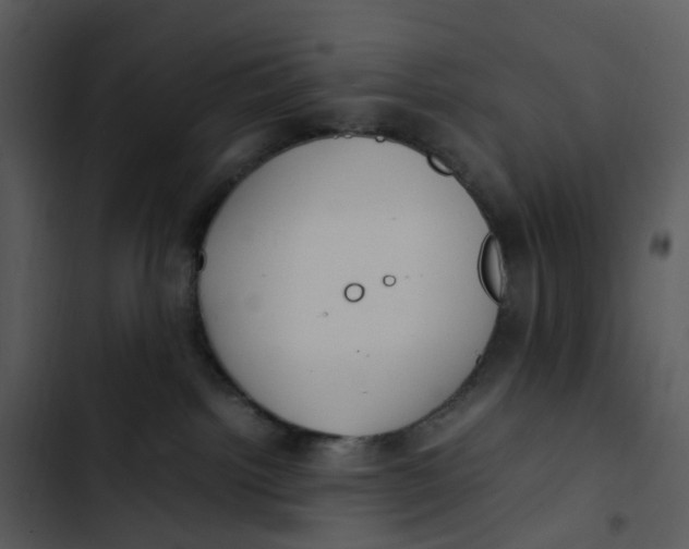 X0000102840092200809081230