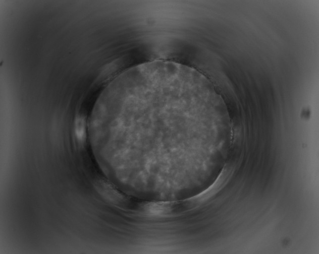 X0000102840094200809081230