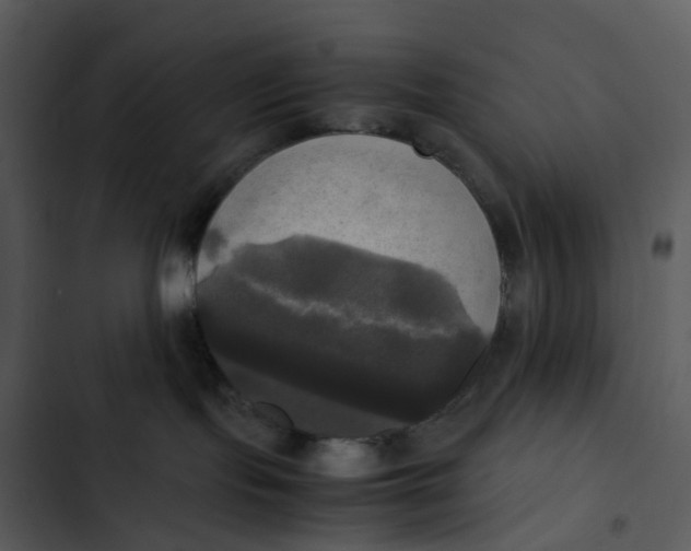 X0000102840095200809081230