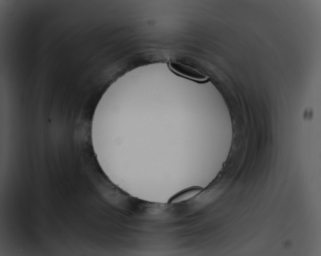 X0000102840096200809081230