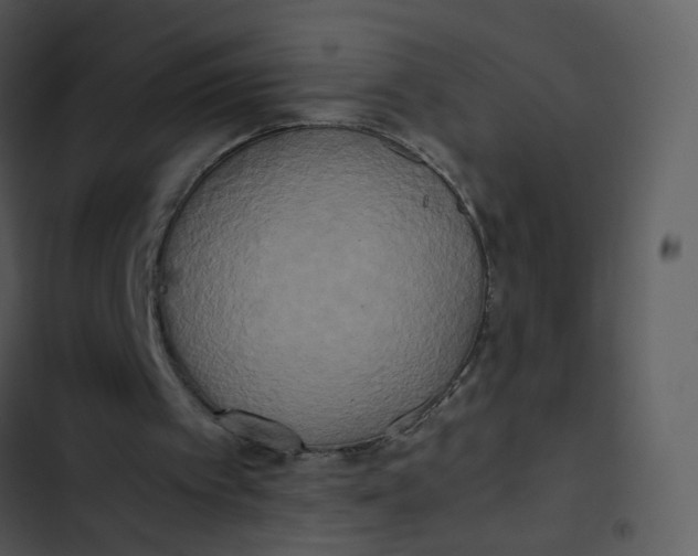 X0000102840097200809081229