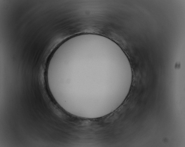 X0000102840098200809081229