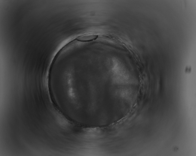 X0000102840100200809081229