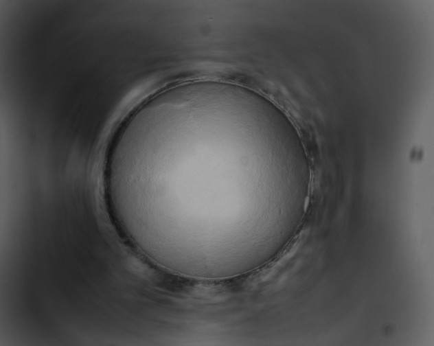 X0000102840101200809081229