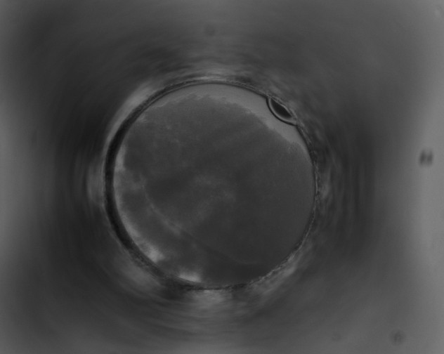 X0000102840102200809081229