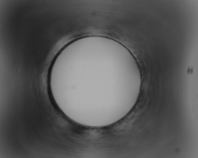 X0000102840103200809081229