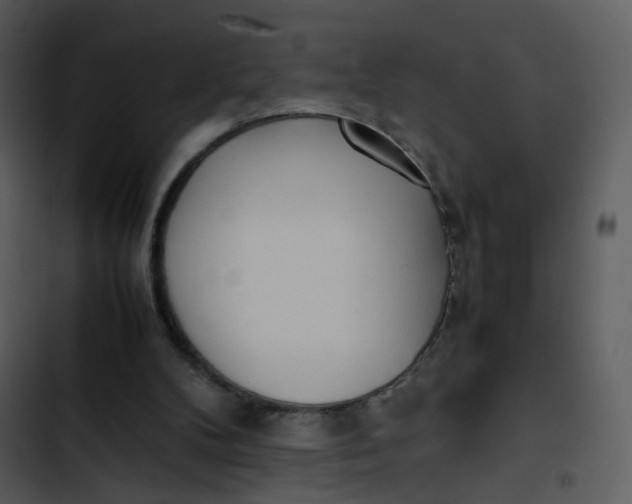 X0000102840104200809081229