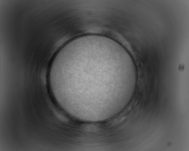 X0000102840106200809081229