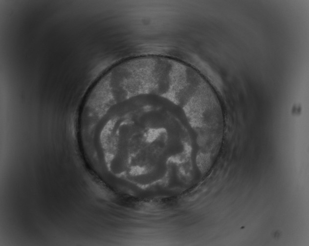 X0000102840107200809081229