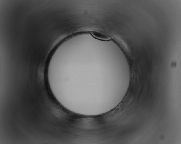 X0000102840108200809081229