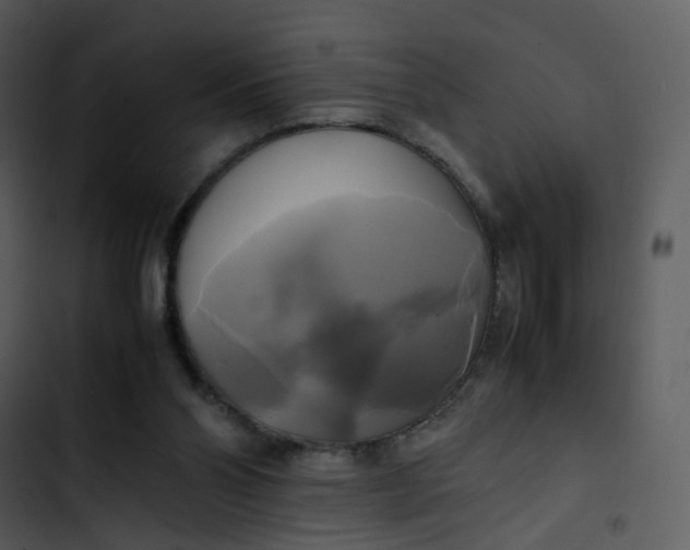 X0000102840110200809081229