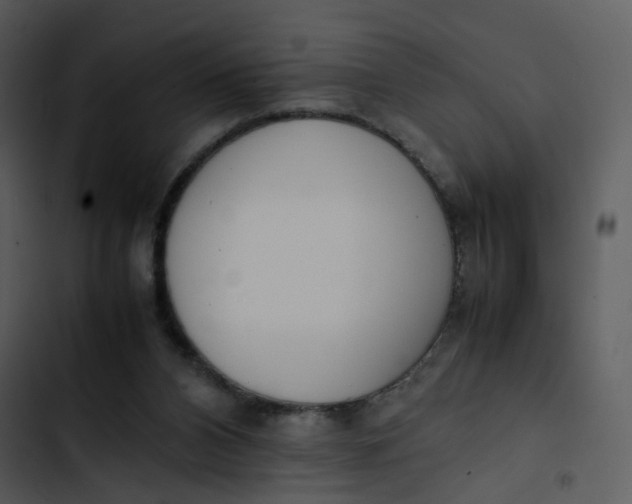 X0000102840112200809081229