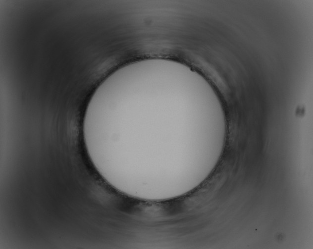 X0000102840113200809081229