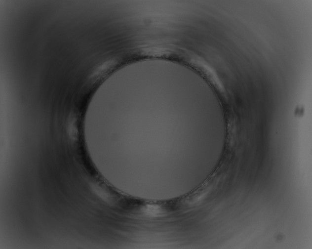 X0000102840114200809081229