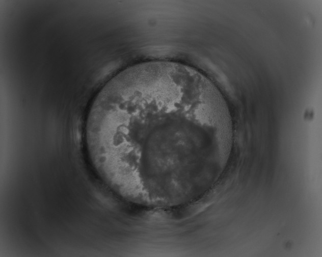 X0000102840115200809081229