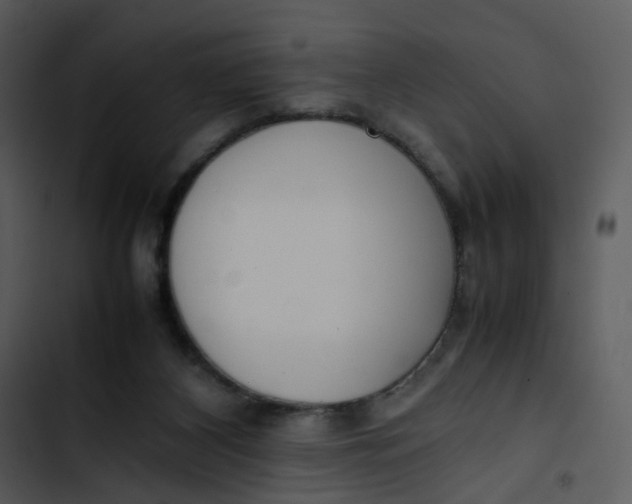 X0000102840116200809081229