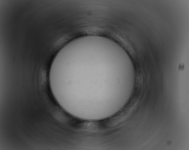 X0000102840117200809081229