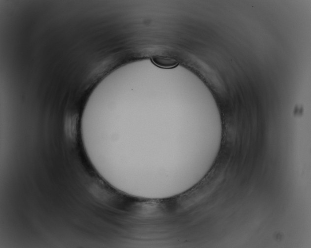 X0000102840118200809081229