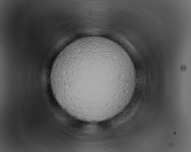 X0000102840119200809081229