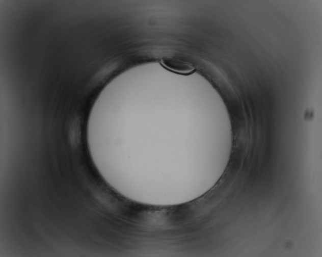 X0000102840120200809081229