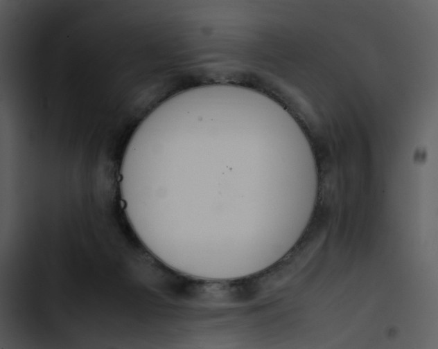 X0000102840121200809081229