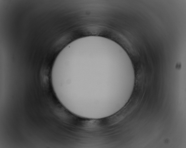 X0000102840122200809081229