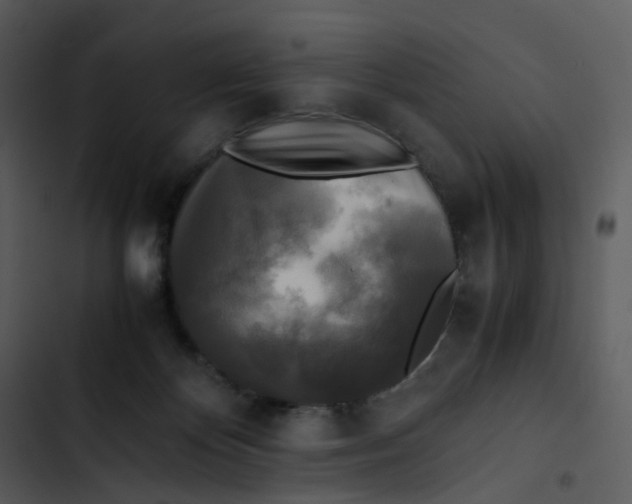 X0000102840124200809081229