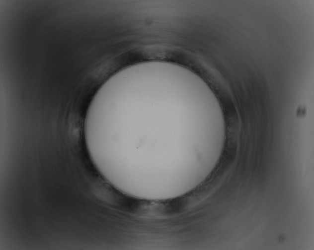 X0000102840125200809081229