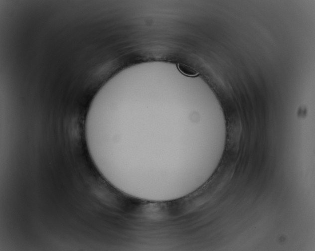 X0000102840126200809081229