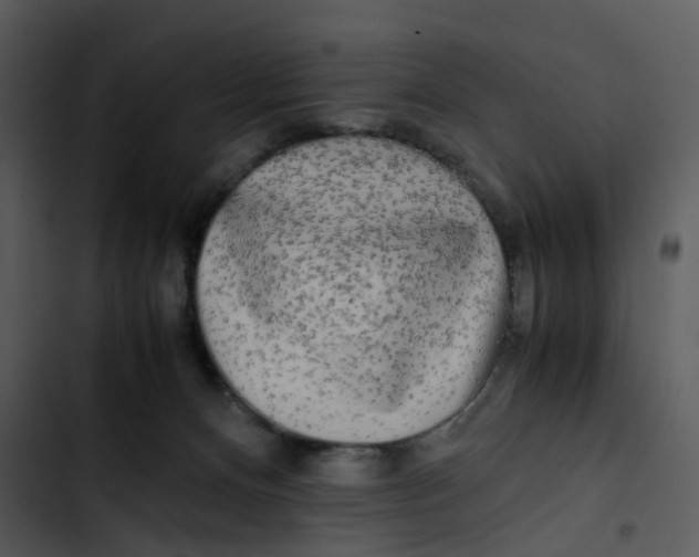 X0000102840128200809081229