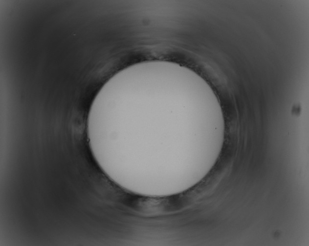 X0000102840129200809081229