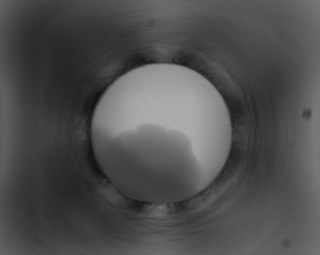 X0000102840131200809081229