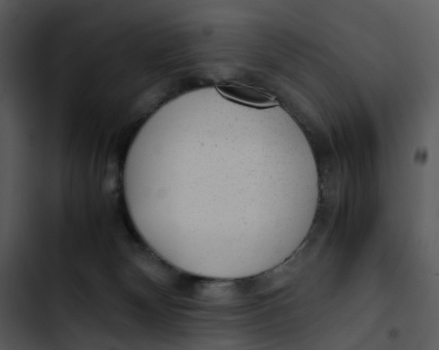 X0000102840132200809081229