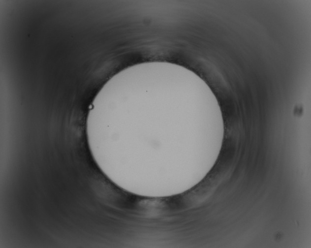 X0000102840133200809081229