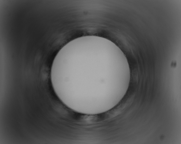 X0000102840135200809081229