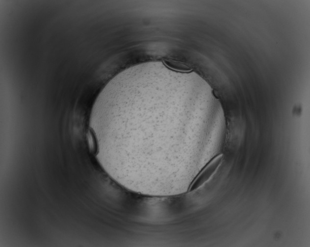 X0000102840136200809081229