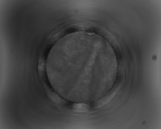 X0000102840137200809081229