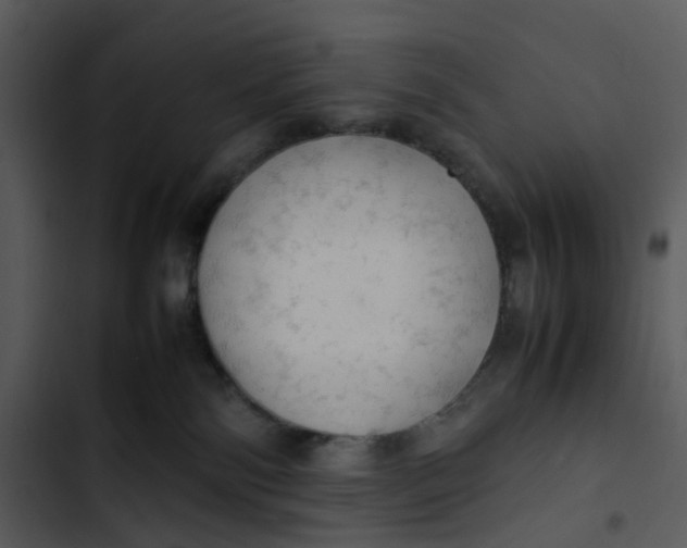 X0000102840138200809081229