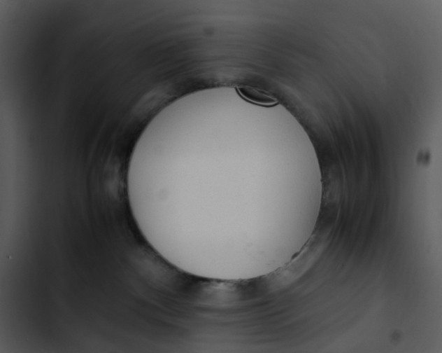 X0000102840140200809081229