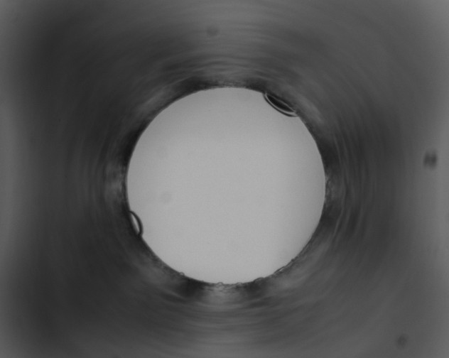 X0000102840141200809081229