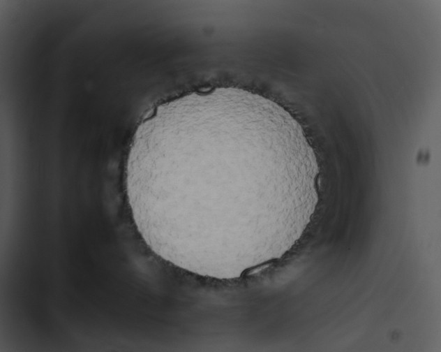 X0000102840144200809081229