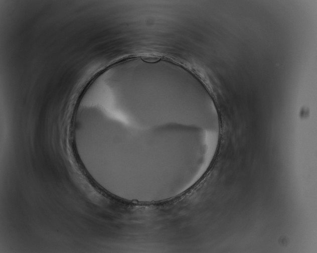 X0000102840145200809081228