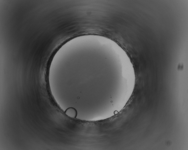 X0000102840146200809081228