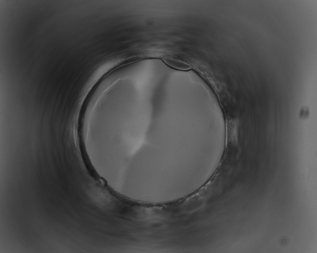 X0000102840147200809081228